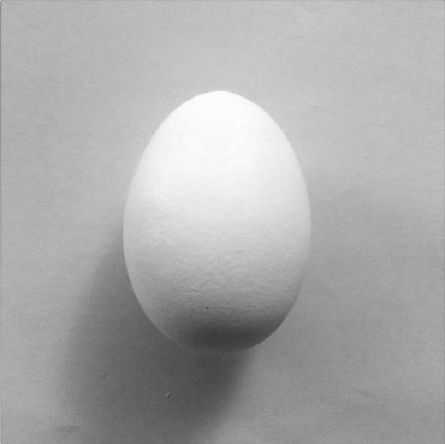 Egg Et egg på en grå bakgrunn.