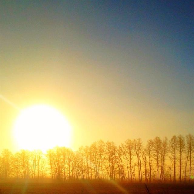 Ildkule En stor sol i ferd med å gå ned bak en trerekke i silhuett.