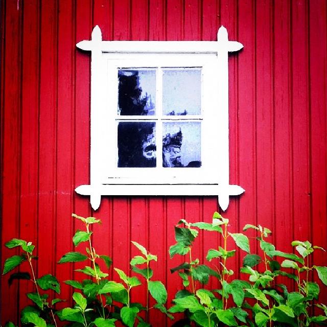 Vindu Gammelt vindu på en rød vegg med grønne planter i forgrunnen.