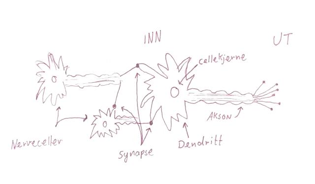 En illustrasjon som viser en strekperson som med skrekk ser på avgrunnen mellom 'ingenting' og 'noe' (start)