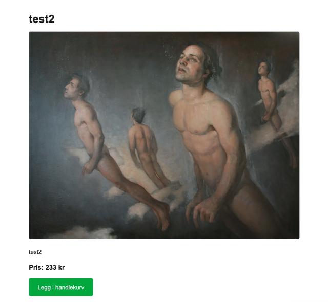 Skjermbilde av skisse på kategori