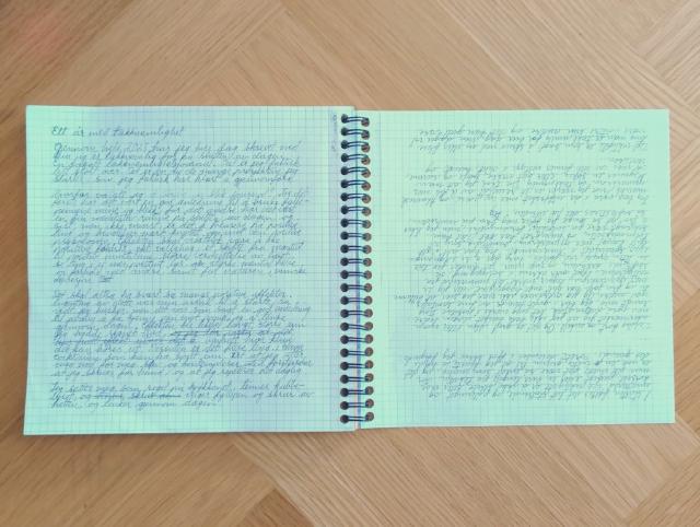 Utsnitt av nettsidene til Løkkevika Handel.