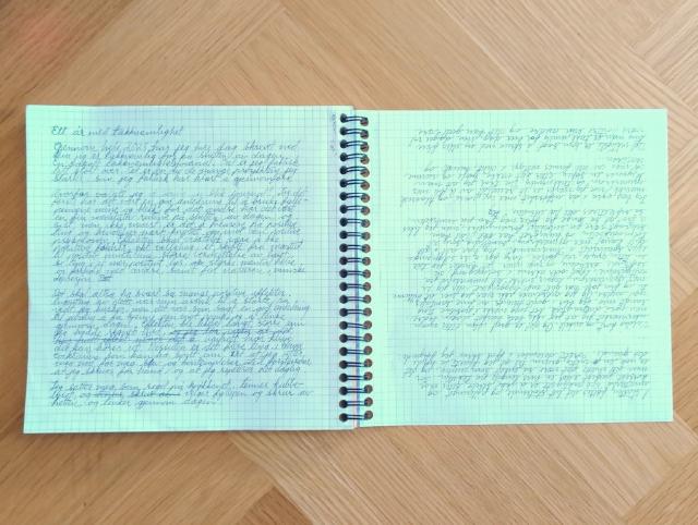 Utsnitt av nettsidene til Løkkevika Handel.