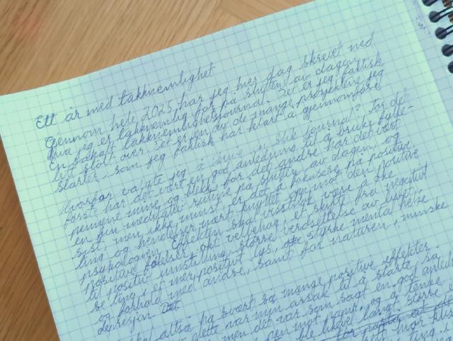 Utsnitt av nettsidene til Løkkevika Handel.